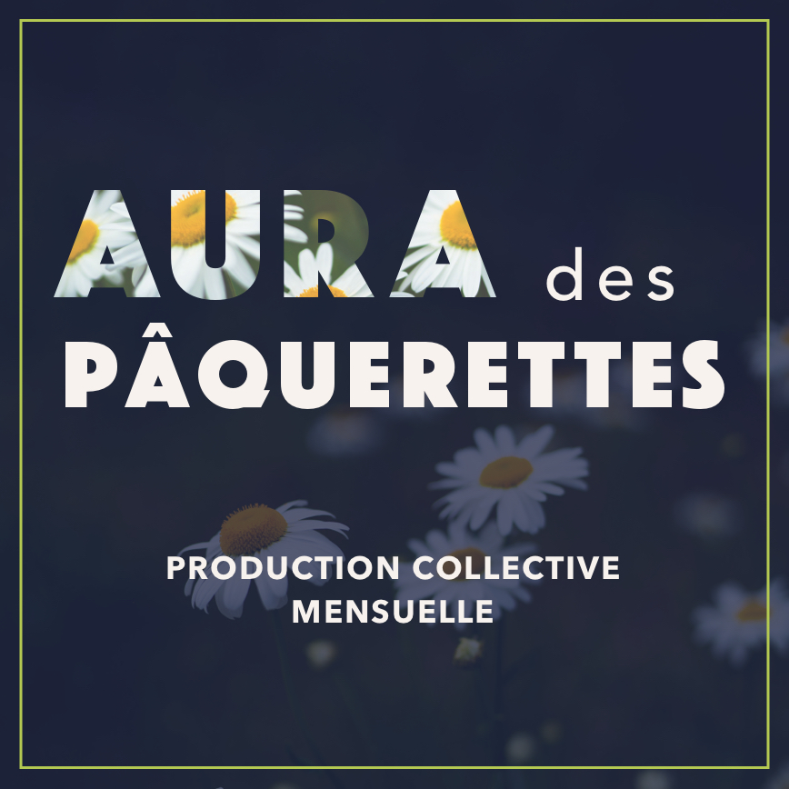 AURA des pâquerettes