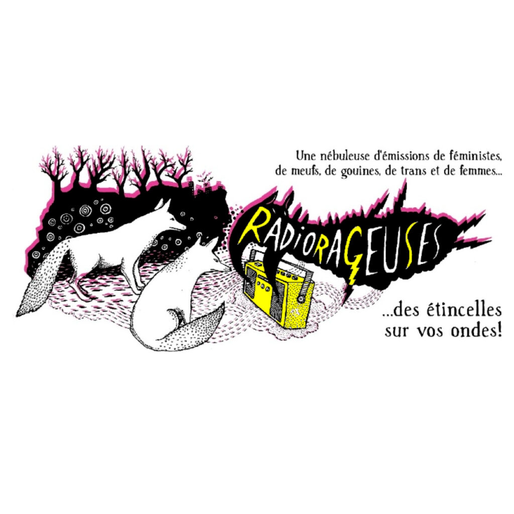 Le choix des Noctules