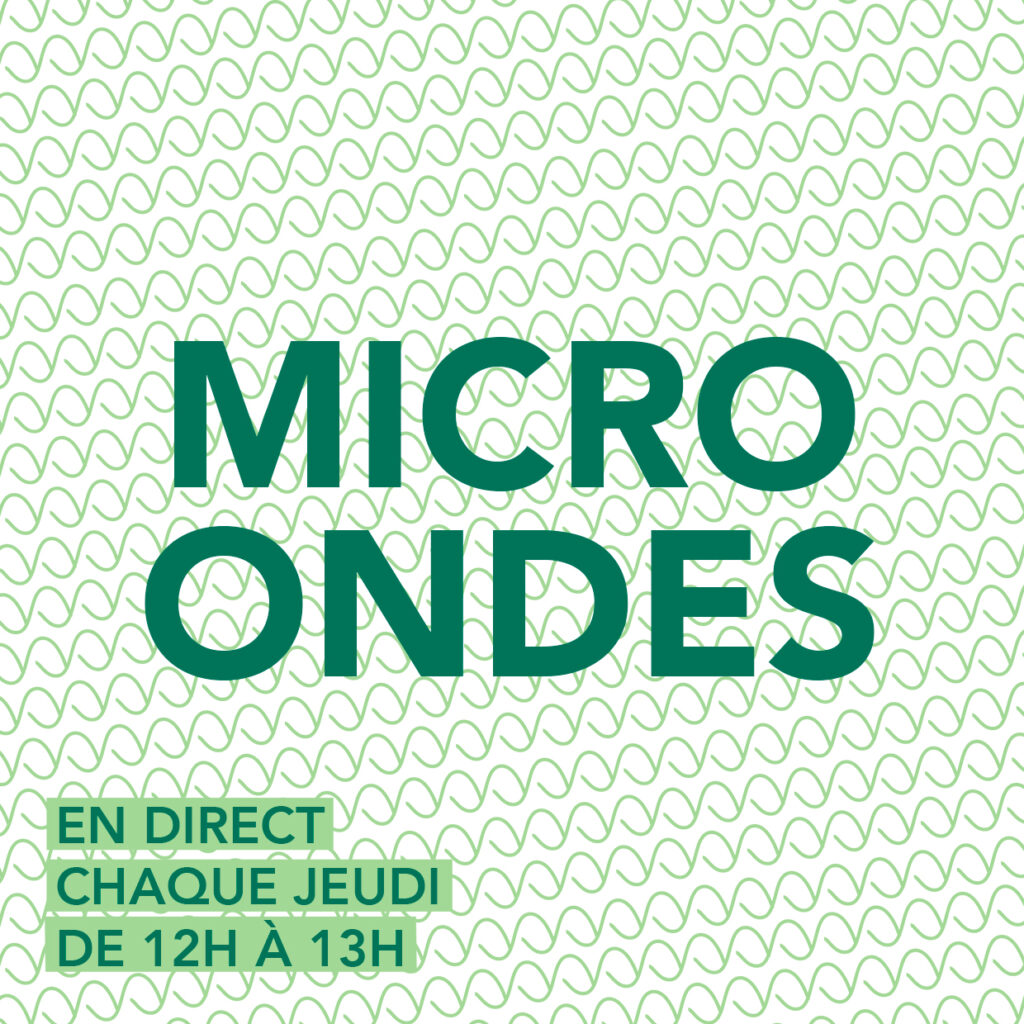 Micro Ondes