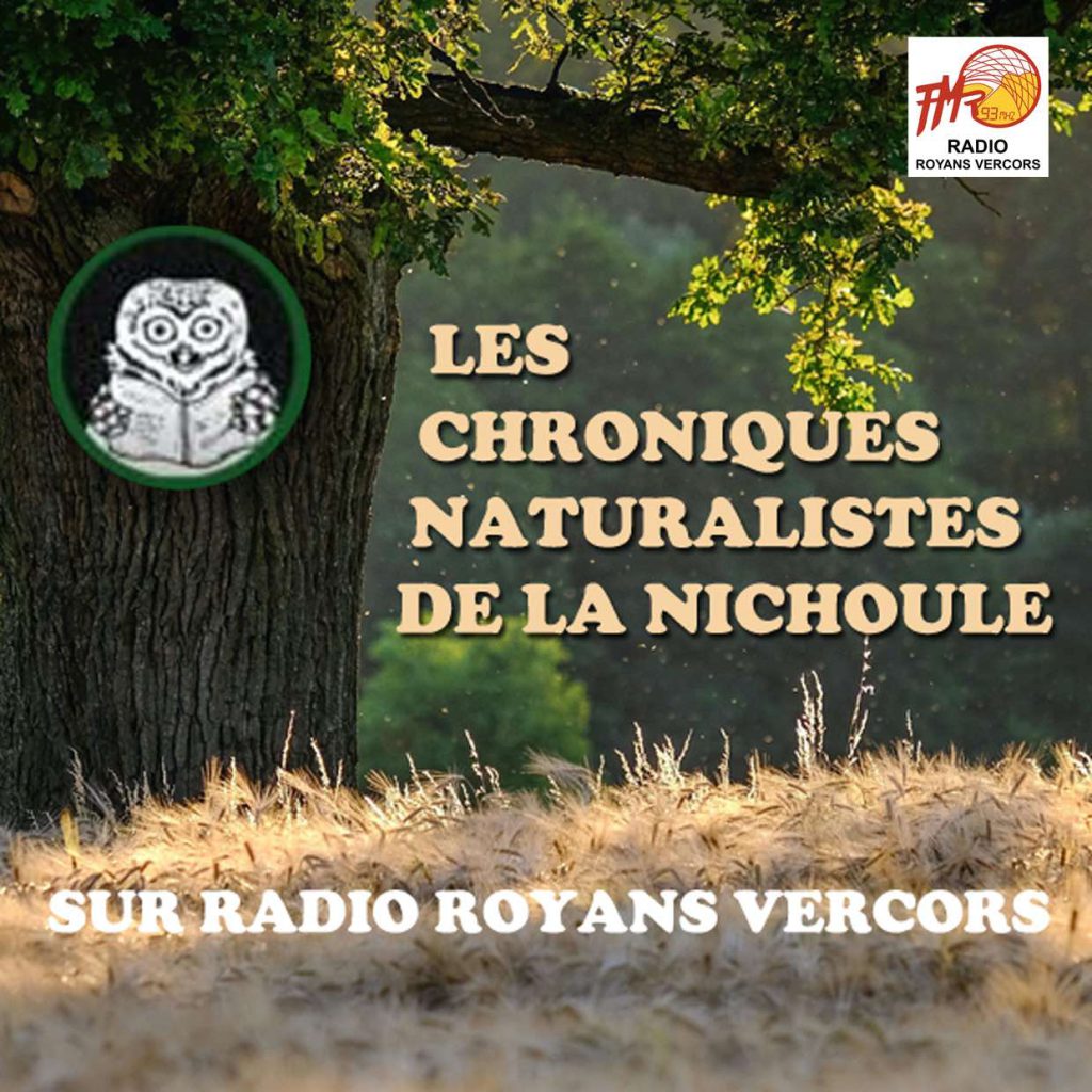 La Nichoule