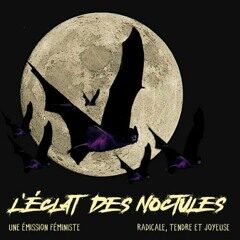 L&rsquo;éclat des noctules